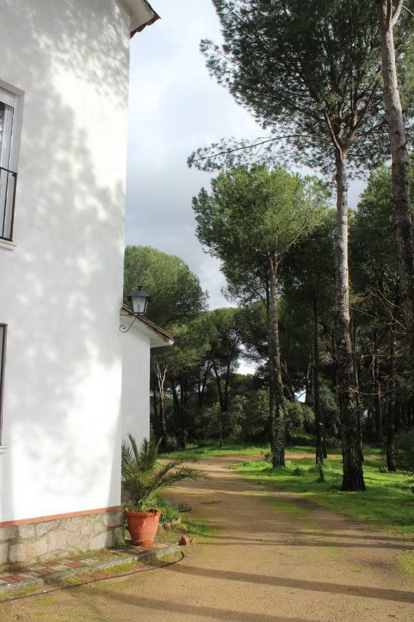 Villa Vina Concepcion à Andújar Extérieur photo