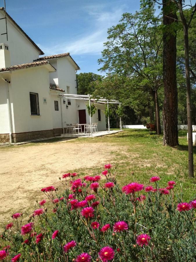Villa Vina Concepcion à Andújar Extérieur photo